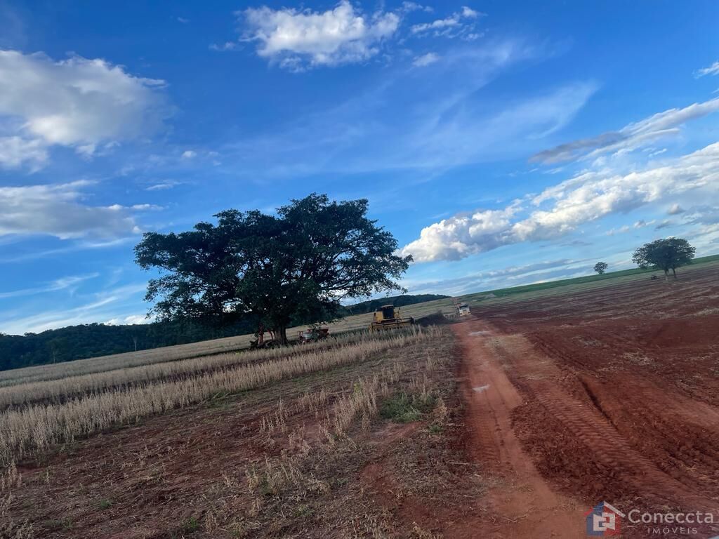 Fazenda à venda, 1255000m² - Foto 8