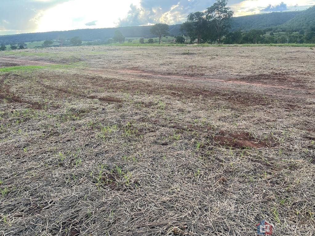 Fazenda à venda, 1255000m² - Foto 6