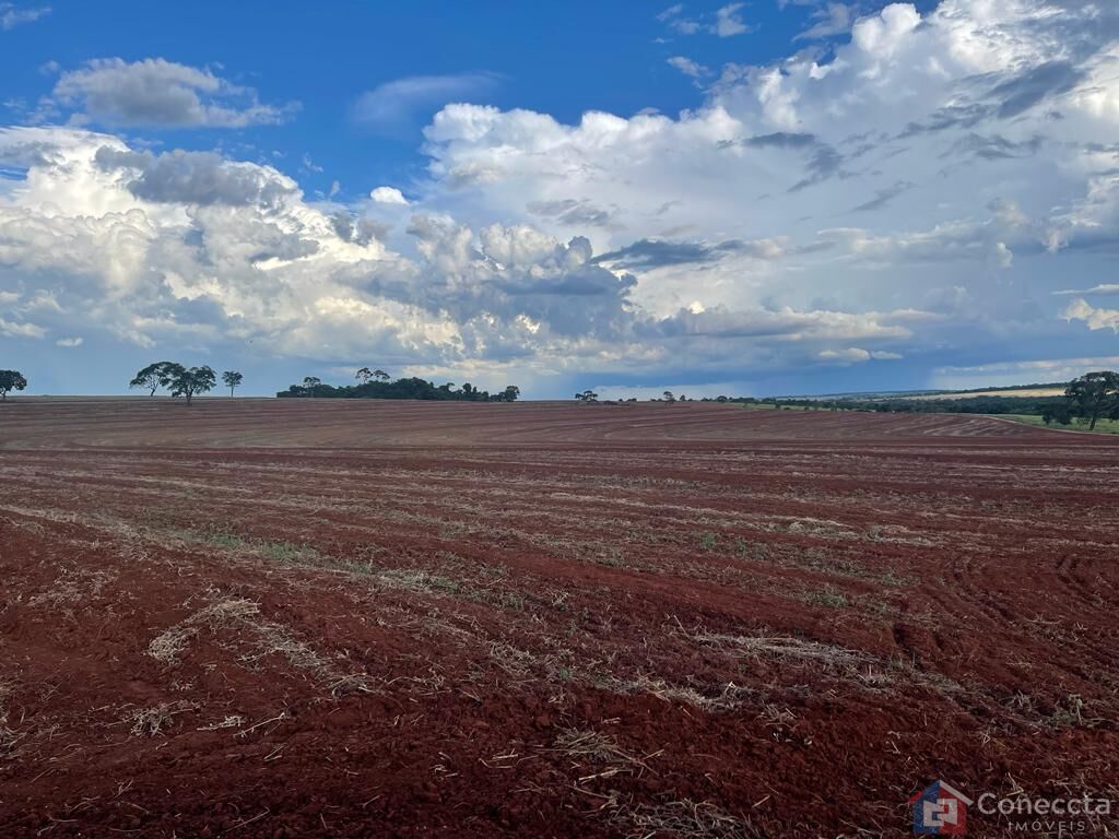 Fazenda à venda, 1255000m² - Foto 10