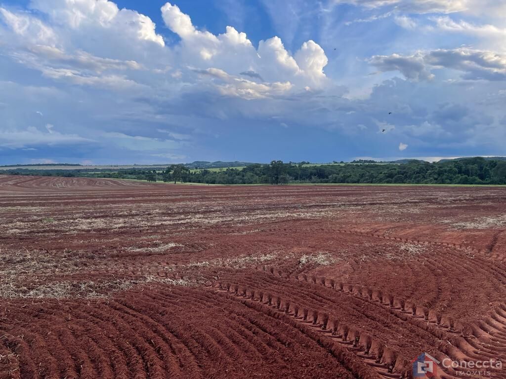 Fazenda à venda, 1255000m² - Foto 14