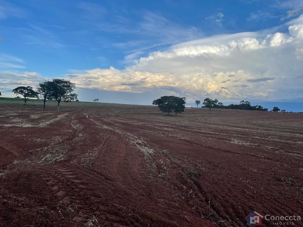 Fazenda à venda, 1255000m² - Foto 18