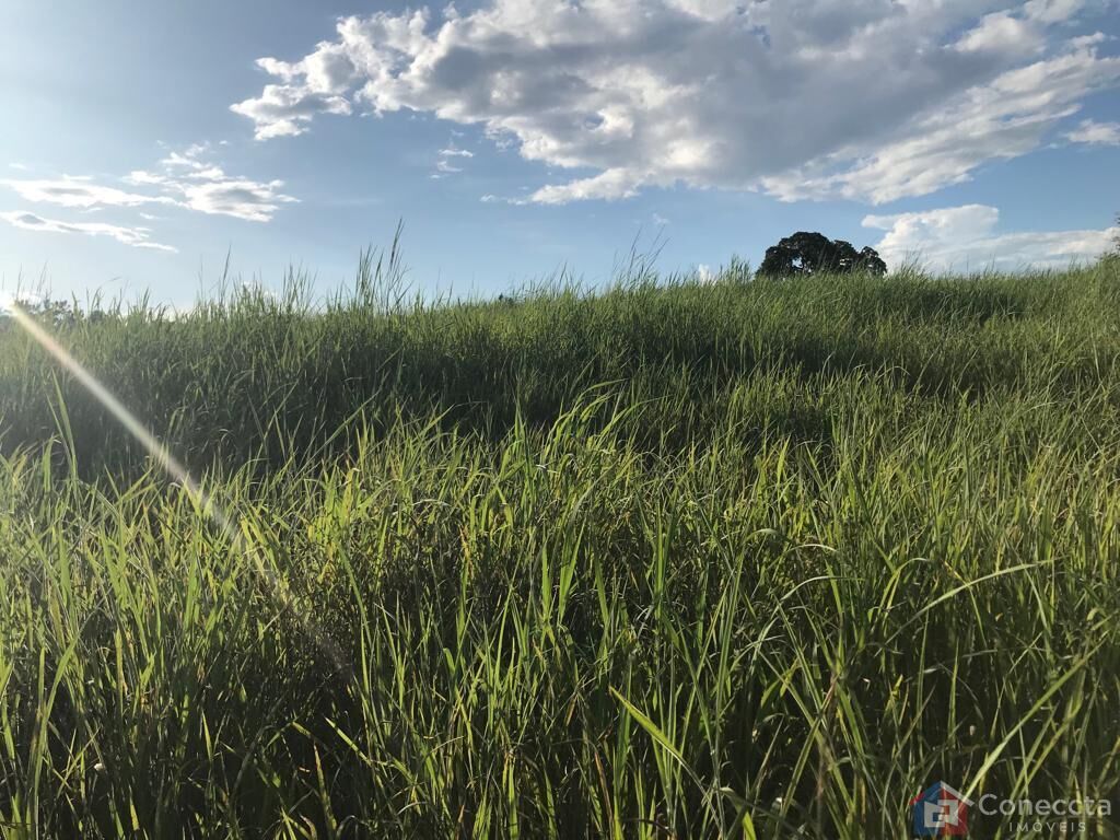 Fazenda à venda, 535000m² - Foto 3