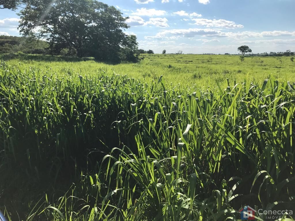 Fazenda à venda, 535000m² - Foto 1