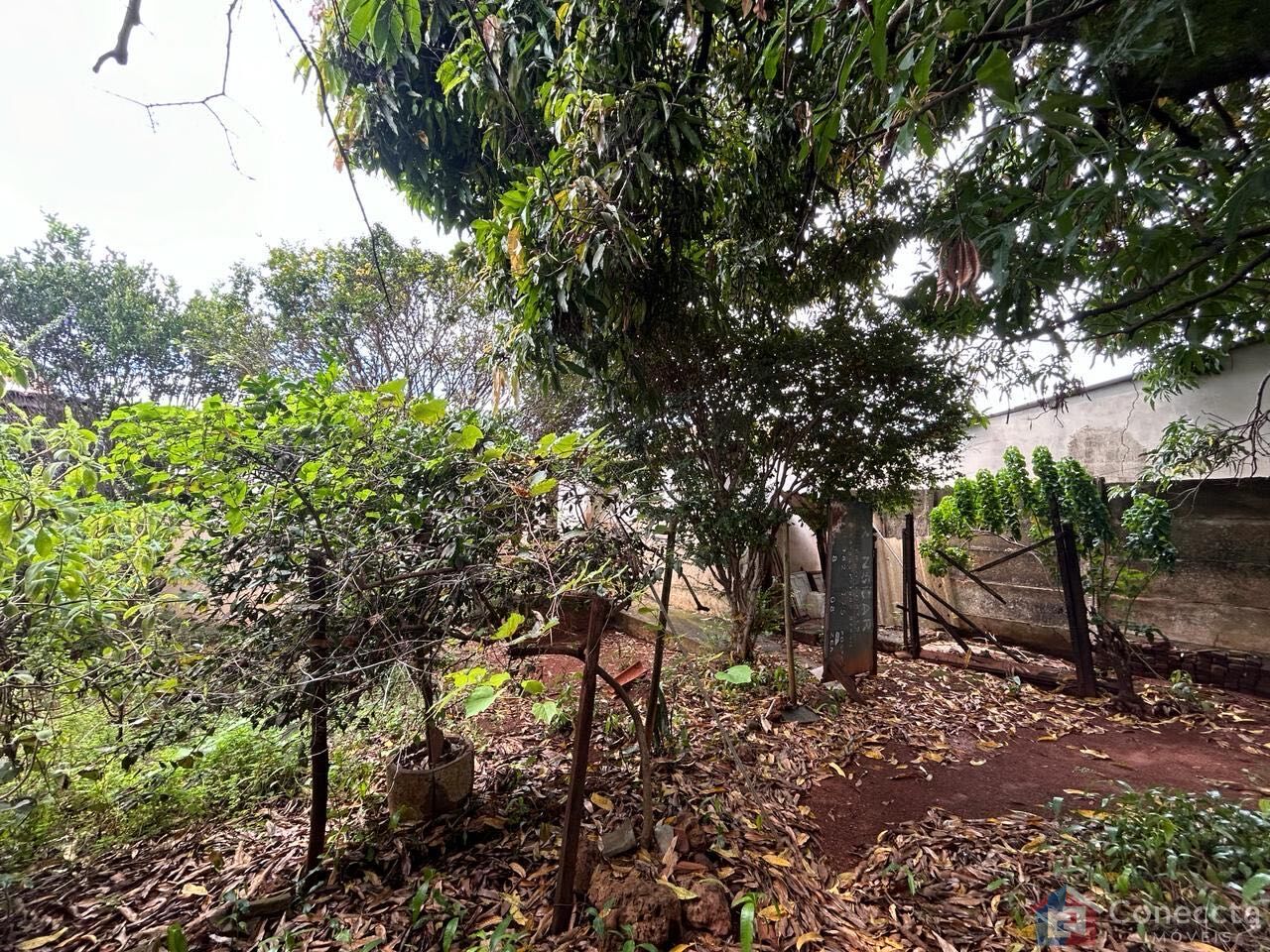 Casa à venda com 4 quartos, 176m² - Foto 25
