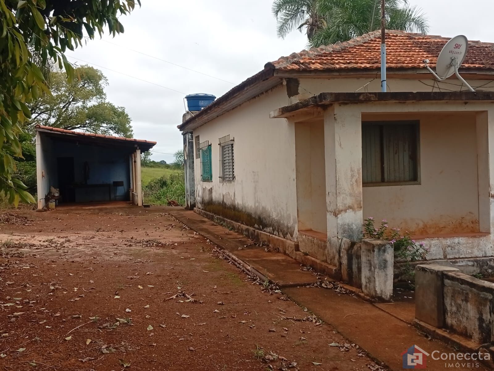 Fazenda-Sítio-Chácara, 6 hectares - Foto 5