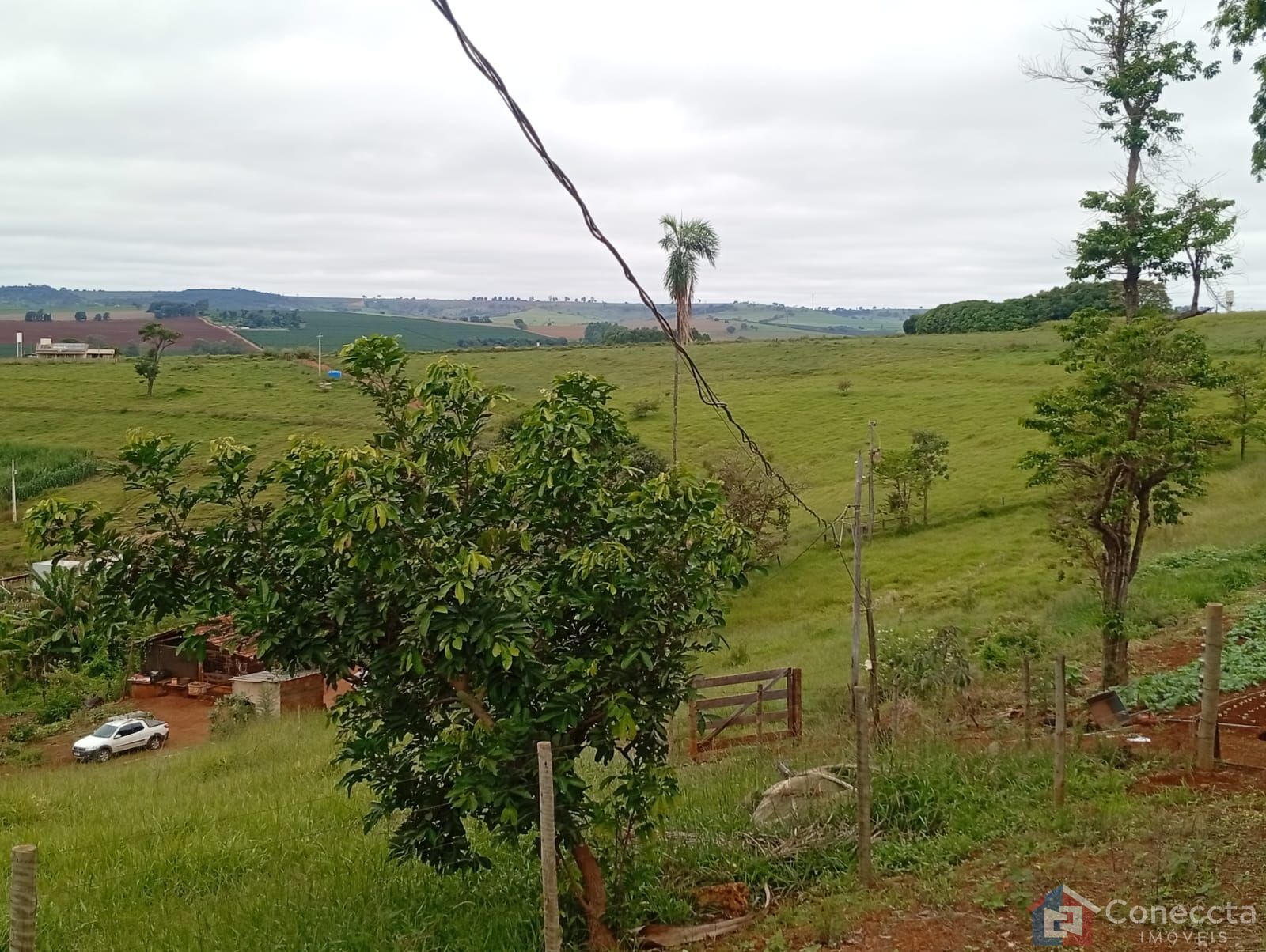 Fazenda-Sítio-Chácara, 6 hectares - Foto 16