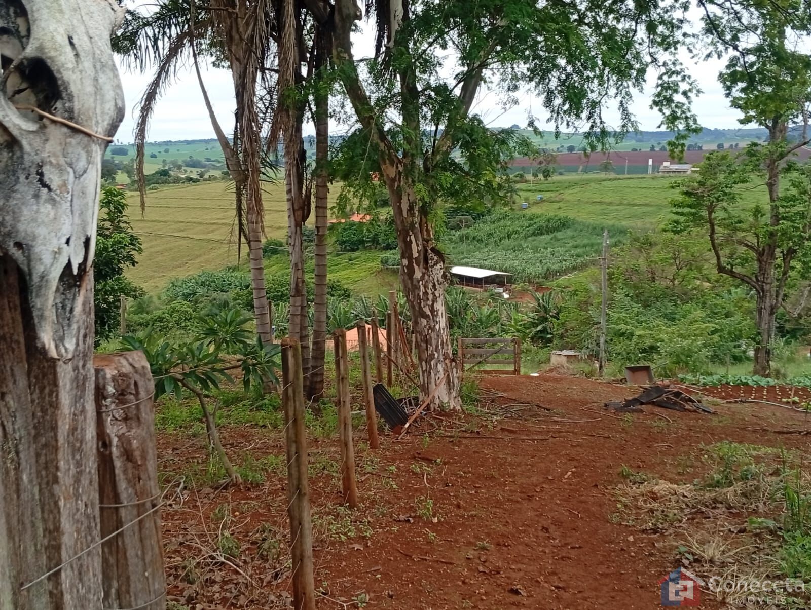 Fazenda-Sítio-Chácara, 6 hectares - Foto 13