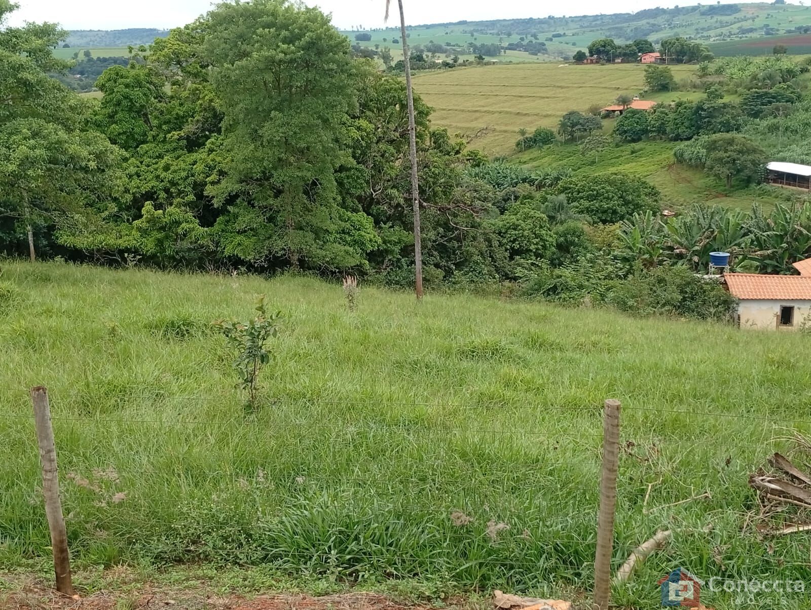 Fazenda-Sítio-Chácara, 6 hectares - Foto 17