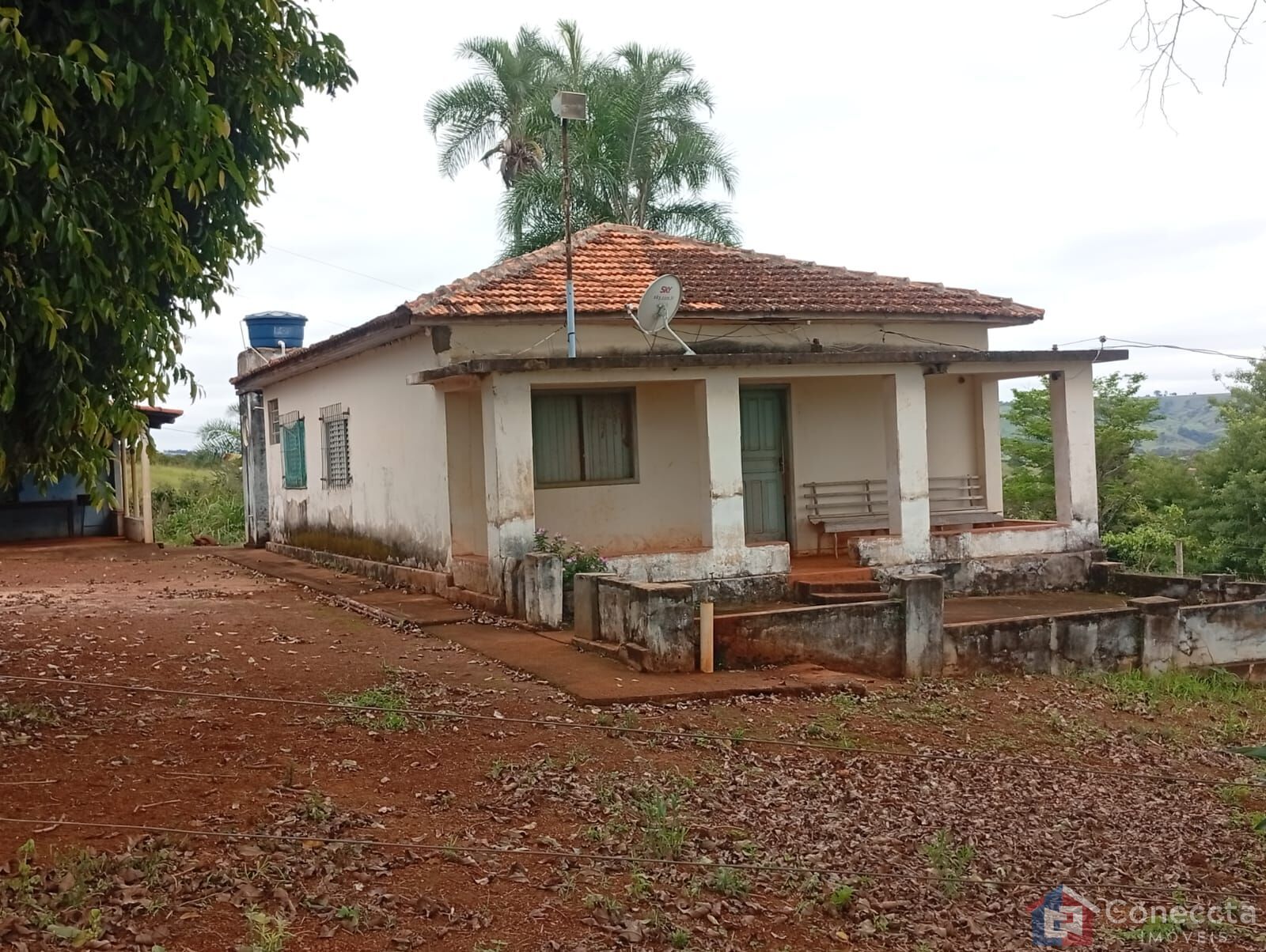 Fazenda-Sítio-Chácara, 6 hectares - Foto 3