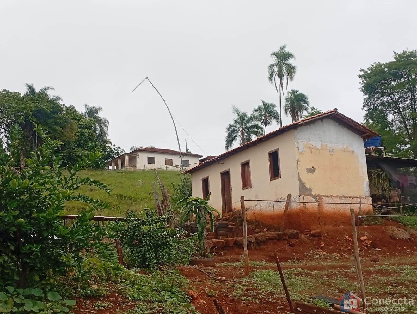 Fazenda-Sítio-Chácara, 6 hectares - Foto 7