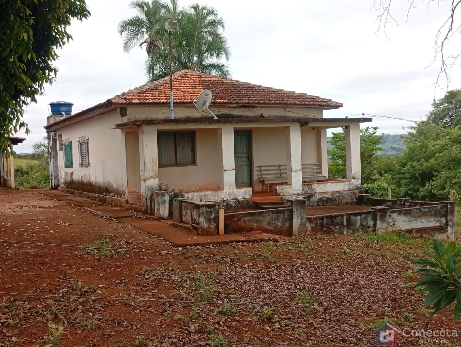 Fazenda-Sítio-Chácara, 6 hectares - Foto 4