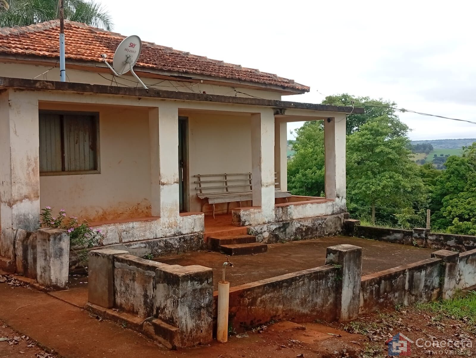 Fazenda-Sítio-Chácara, 6 hectares - Foto 6