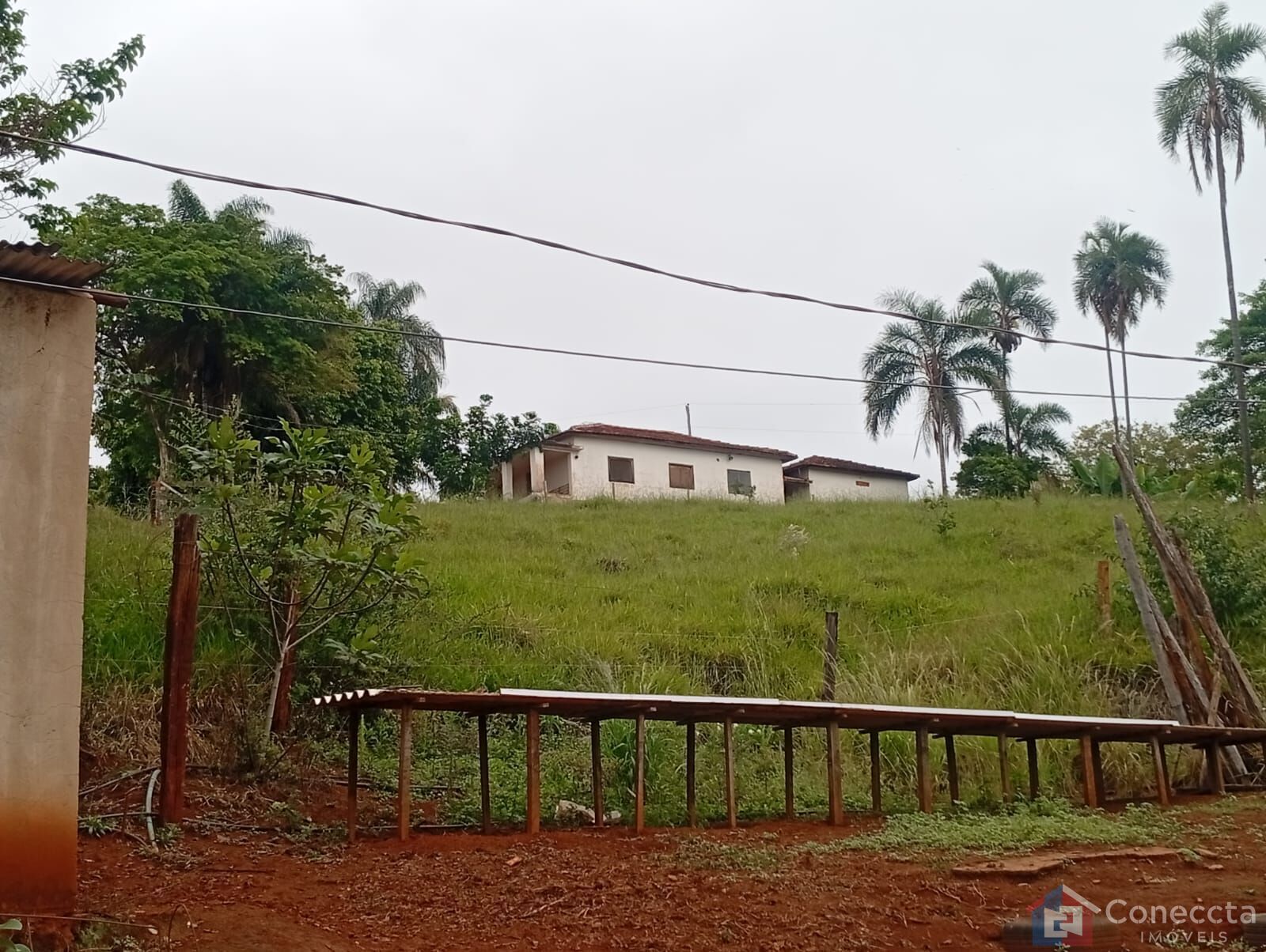 Fazenda-Sítio-Chácara, 6 hectares - Foto 1