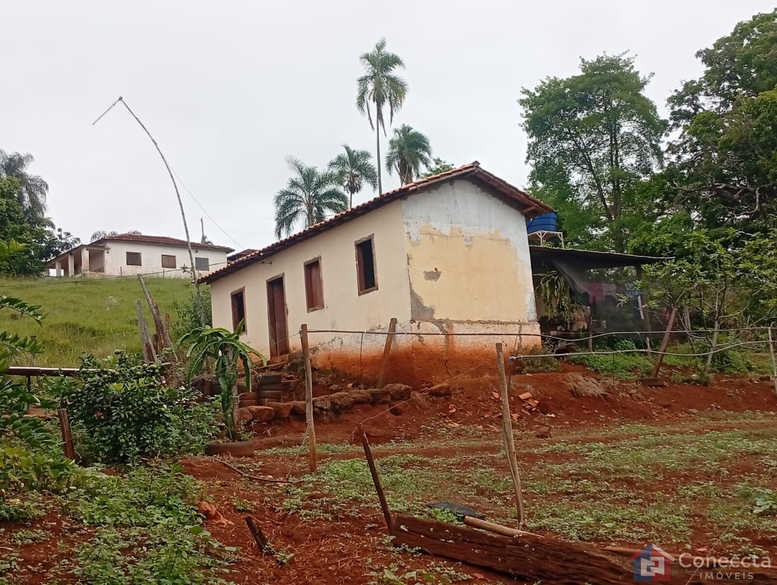 Fazenda-Sítio-Chácara, 6 hectares - Foto 9
