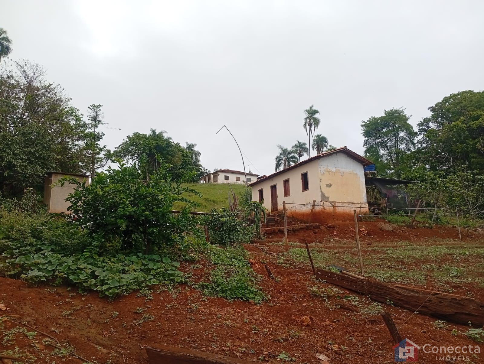 Fazenda-Sítio-Chácara, 6 hectares - Foto 19