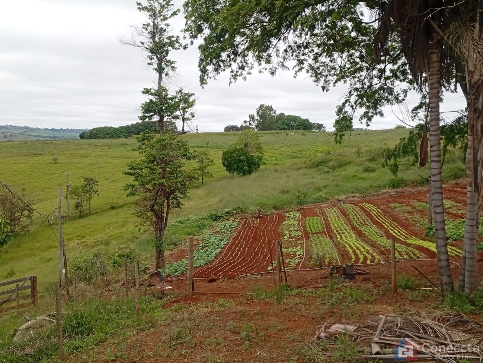 Fazenda-Sítio-Chácara, 6 hectares - Foto 18