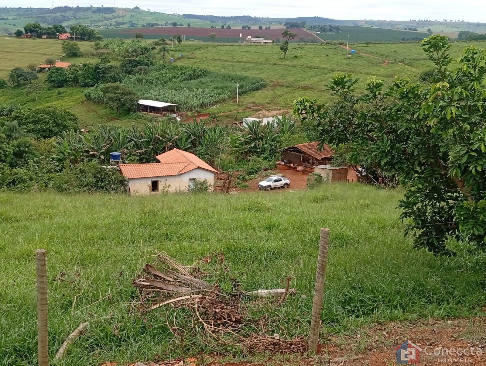 Fazenda-Sítio-Chácara, 6 hectares - Foto 2