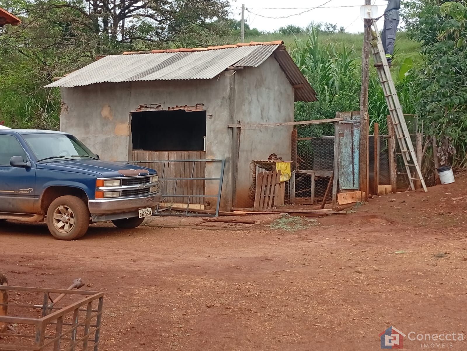 Fazenda-Sítio-Chácara, 6 hectares - Foto 8