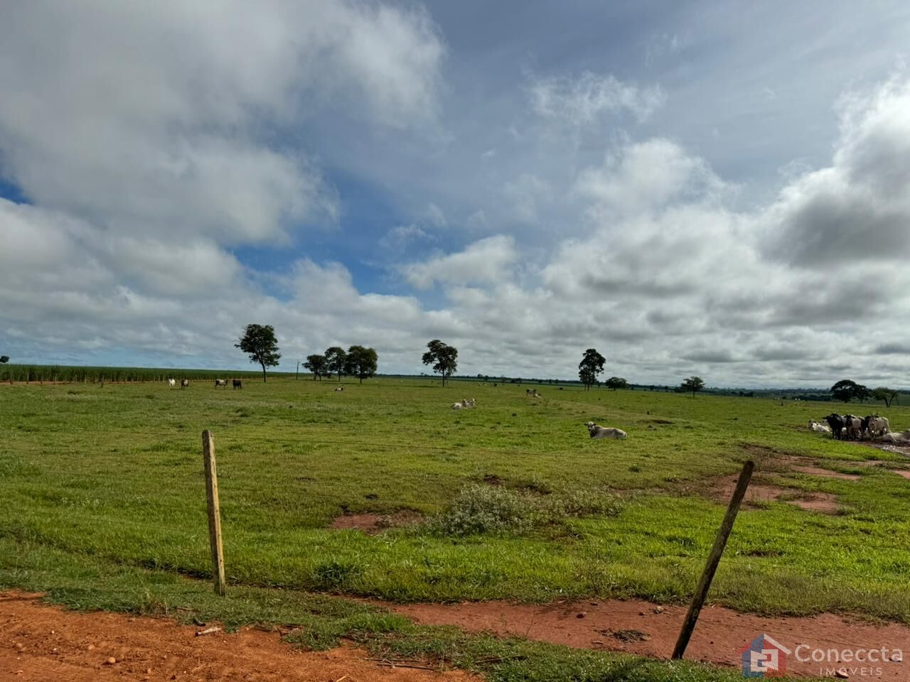 Fazenda à venda, 1800900m² - Foto 4