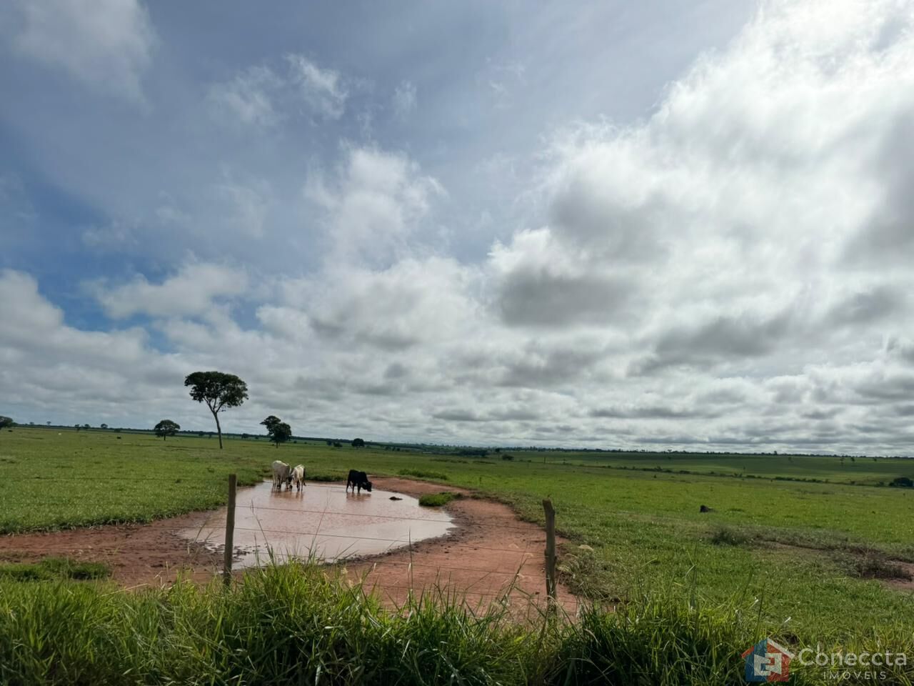 Fazenda à venda, 1800900m² - Foto 1