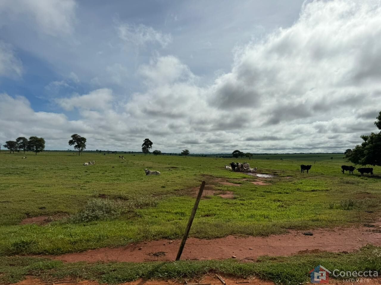 Fazenda à venda, 1800900m² - Foto 3