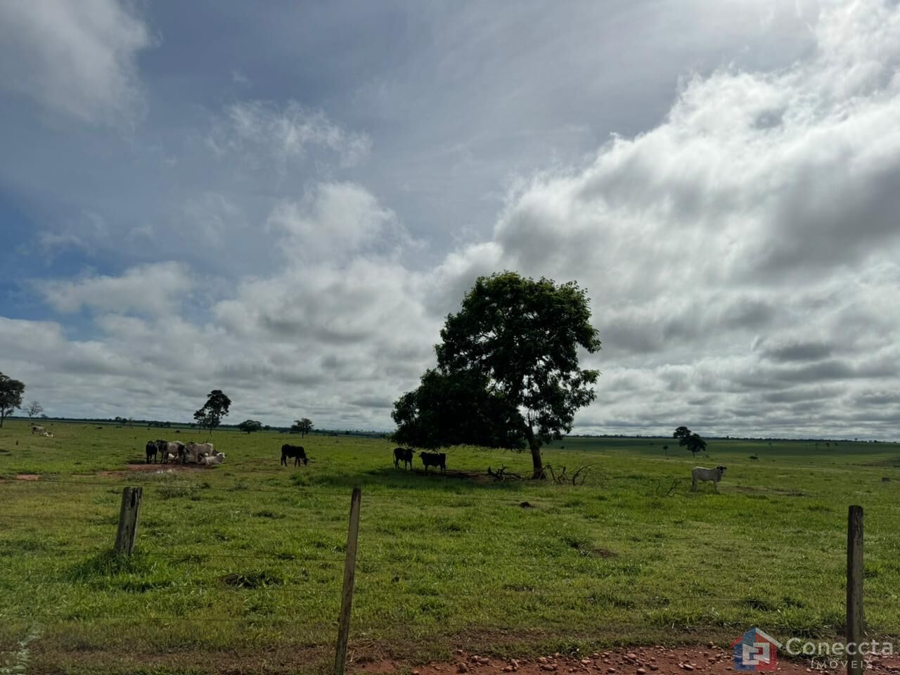 Fazenda à venda, 1800900m² - Foto 2