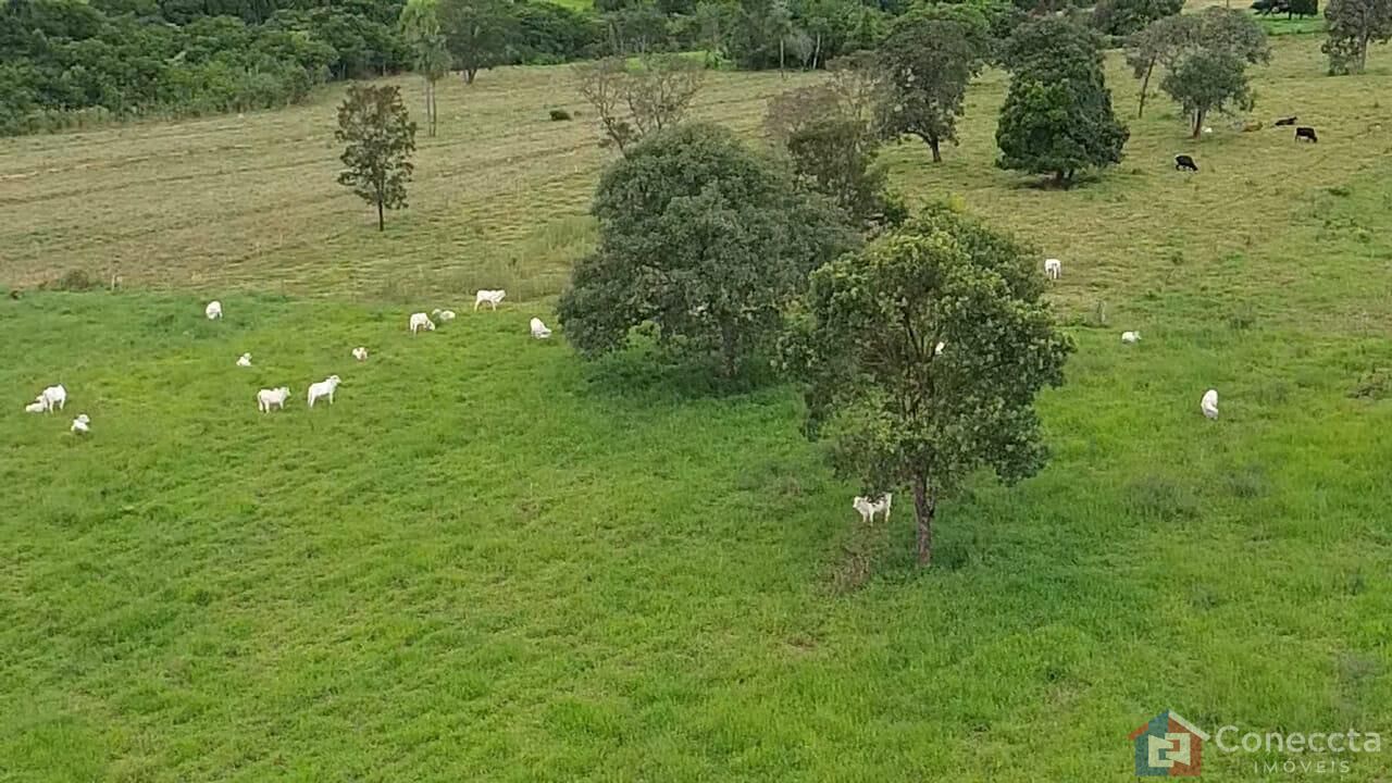 Fazenda à venda, 48400m² - Foto 4