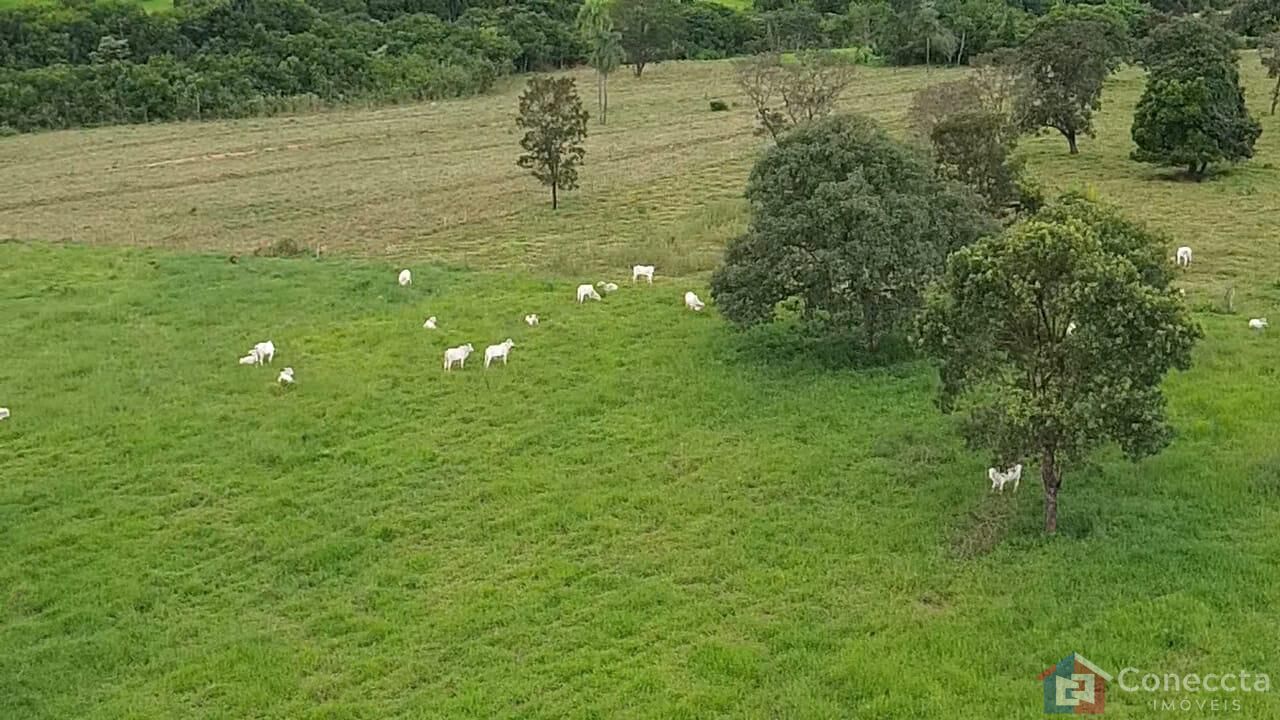 Fazenda à venda, 48400m² - Foto 6