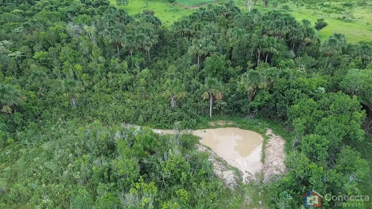 Fazenda à venda, 48400m² - Foto 8