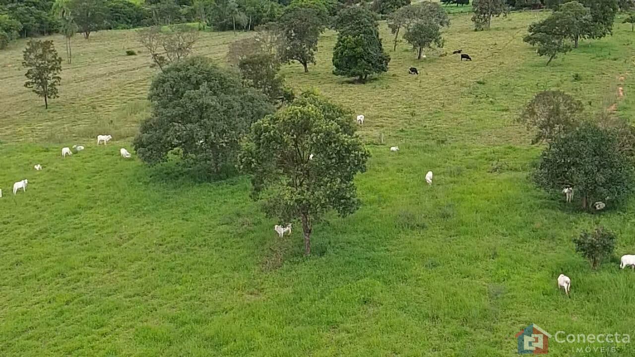 Fazenda à venda, 48400m² - Foto 5