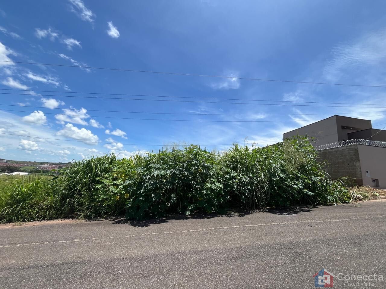 Terreno à venda, 231m² - Foto 1