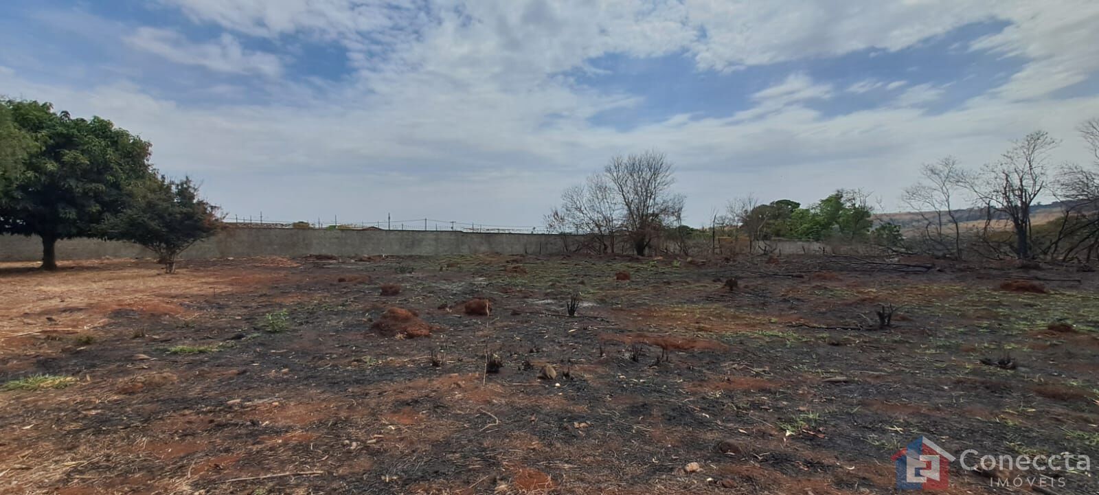 Terreno, 3000 m² - Foto 5