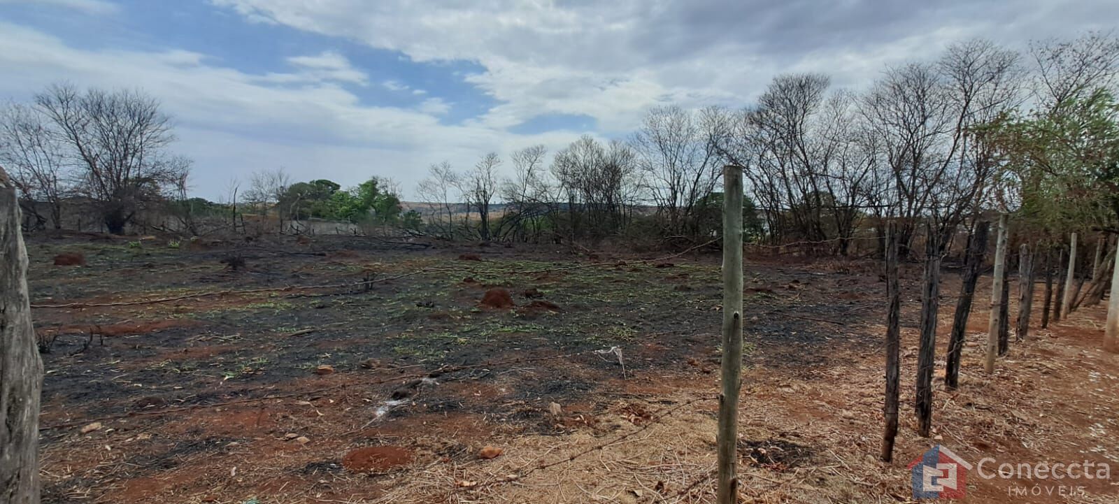 Terreno, 3000 m² - Foto 7