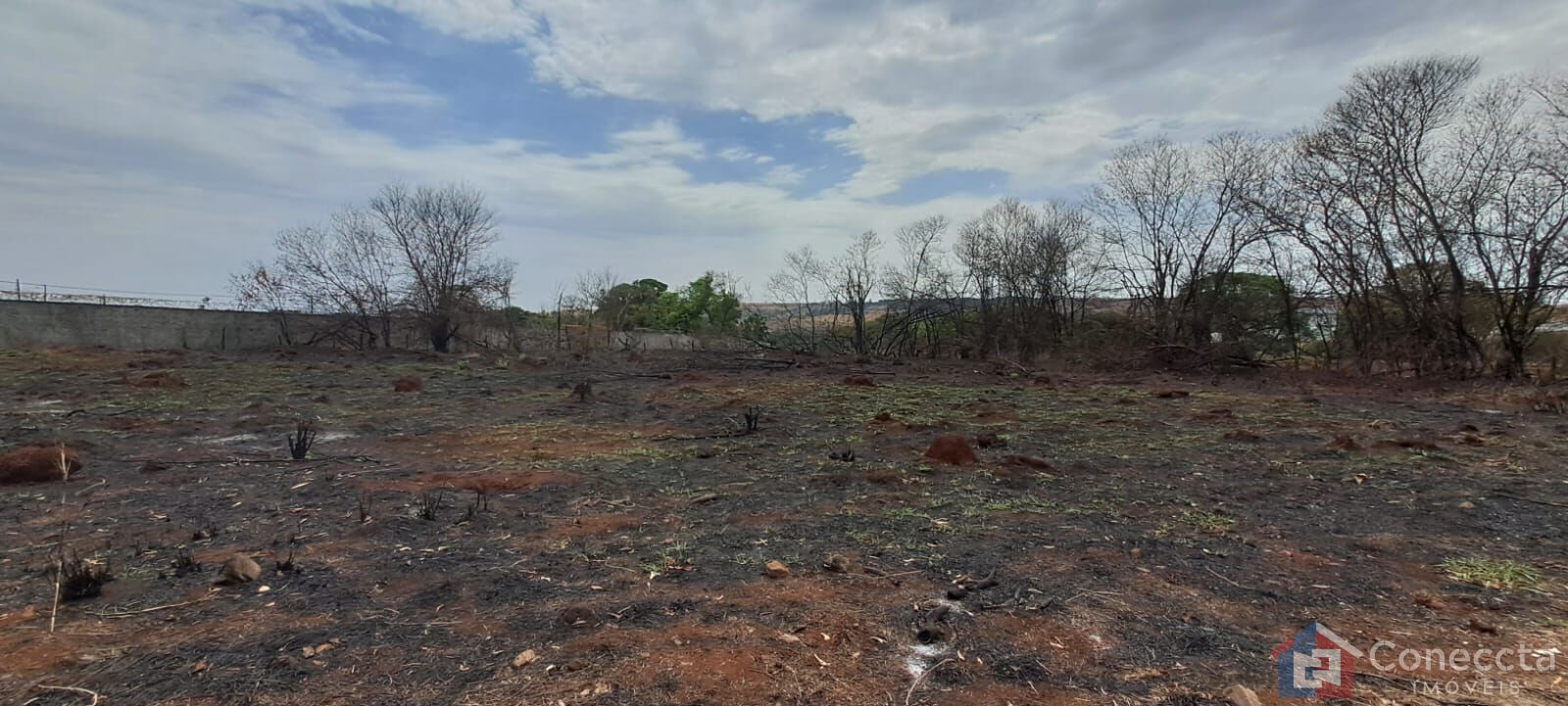 Terreno, 3000 m² - Foto 4