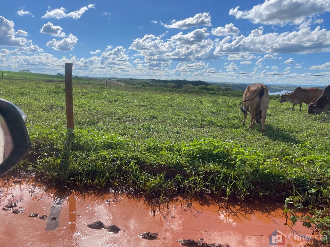 Fazenda à venda, 1355200m² - Foto 2