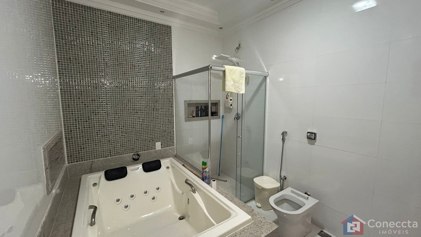 Casa, 3 quartos, 229 m² - Foto 15