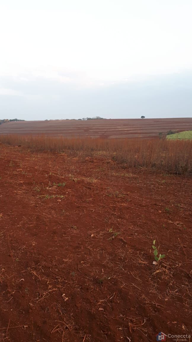 Fazenda à venda, 410000m² - Foto 2