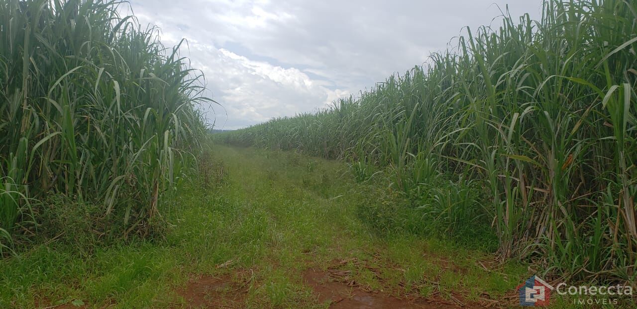 Fazenda à venda, 410000m² - Foto 4