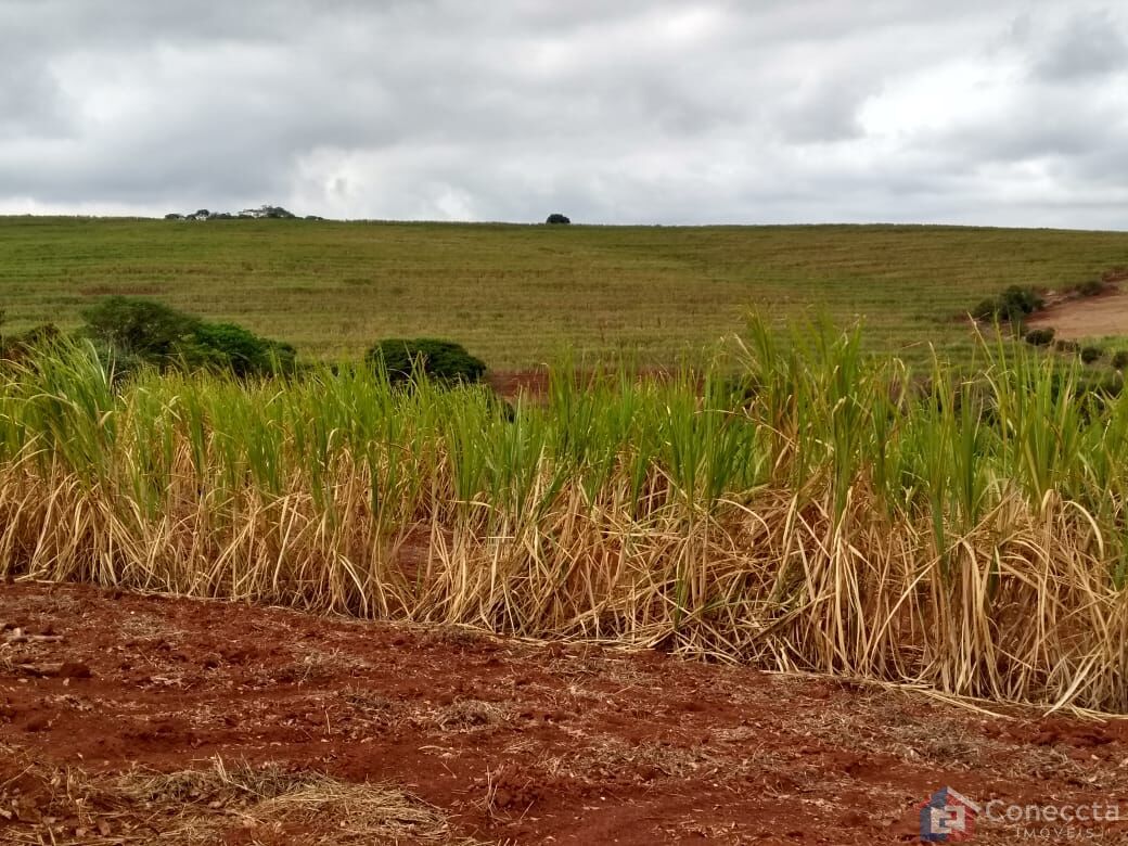 Fazenda à venda, 410000m² - Foto 13