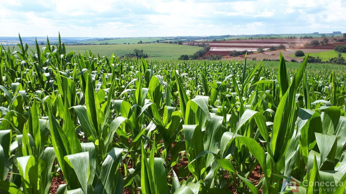 Fazenda à venda, 410000m² - Foto 6