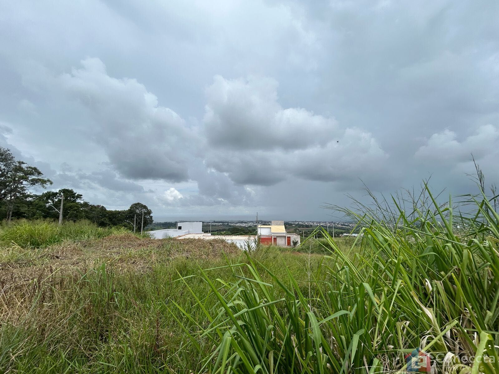 Terreno à venda, 231m² - Foto 2