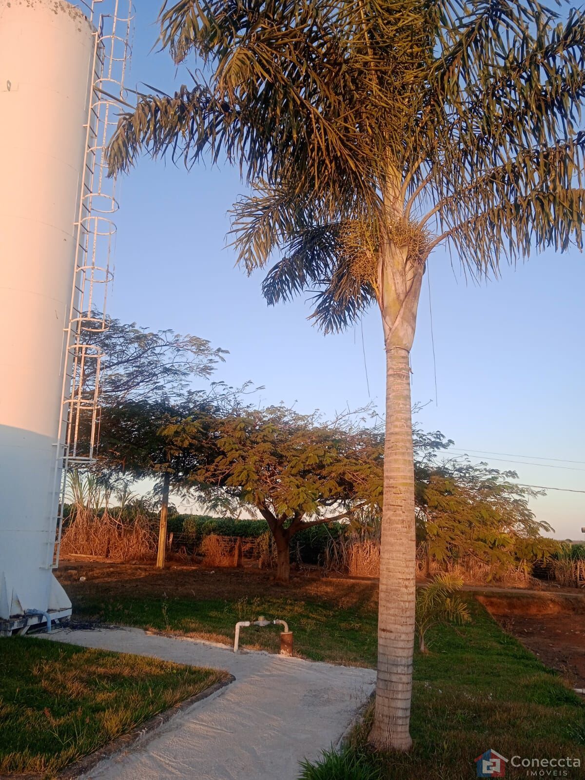 Chácara à venda com 3 quartos, 1000m² - Foto 15