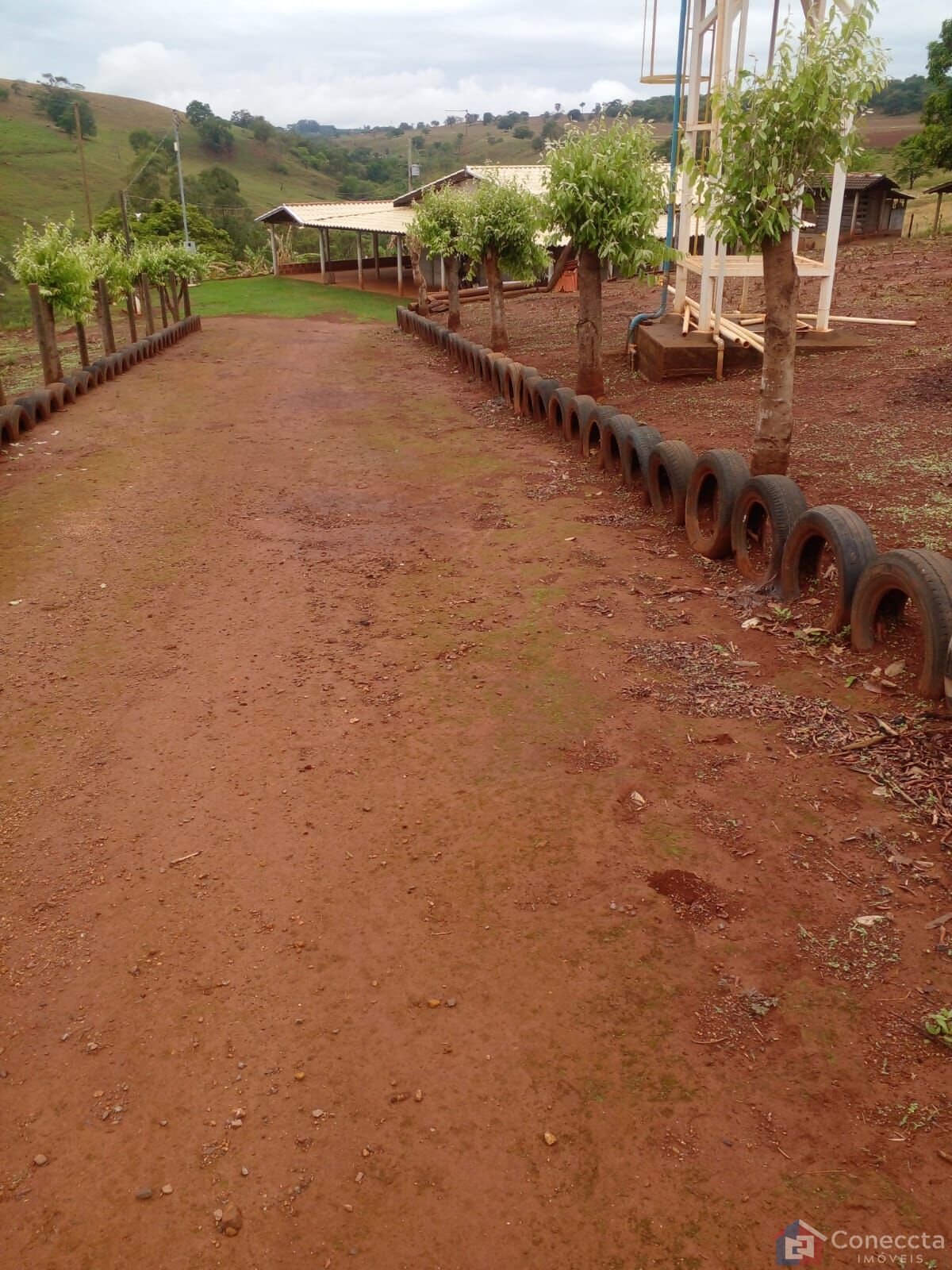 Chácara à venda com 3 quartos, 4447m² - Foto 13