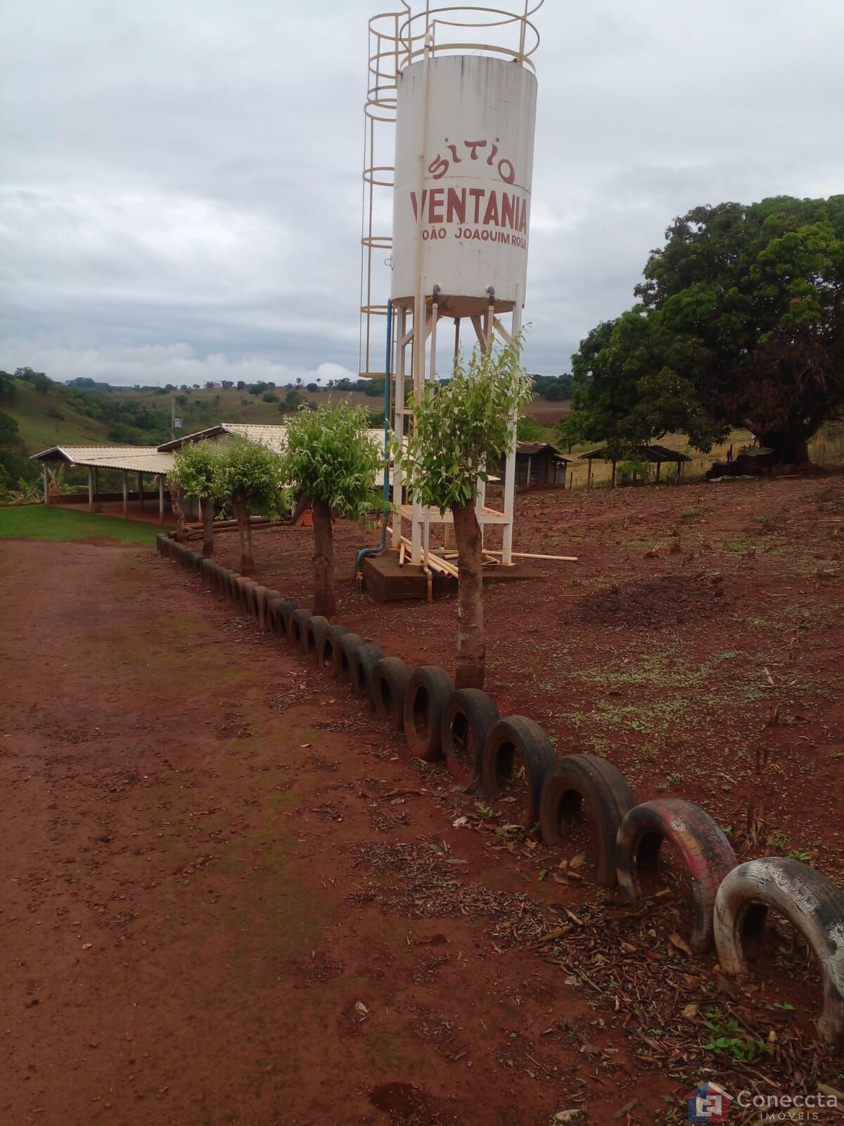 Chácara à venda com 3 quartos, 4447m² - Foto 12