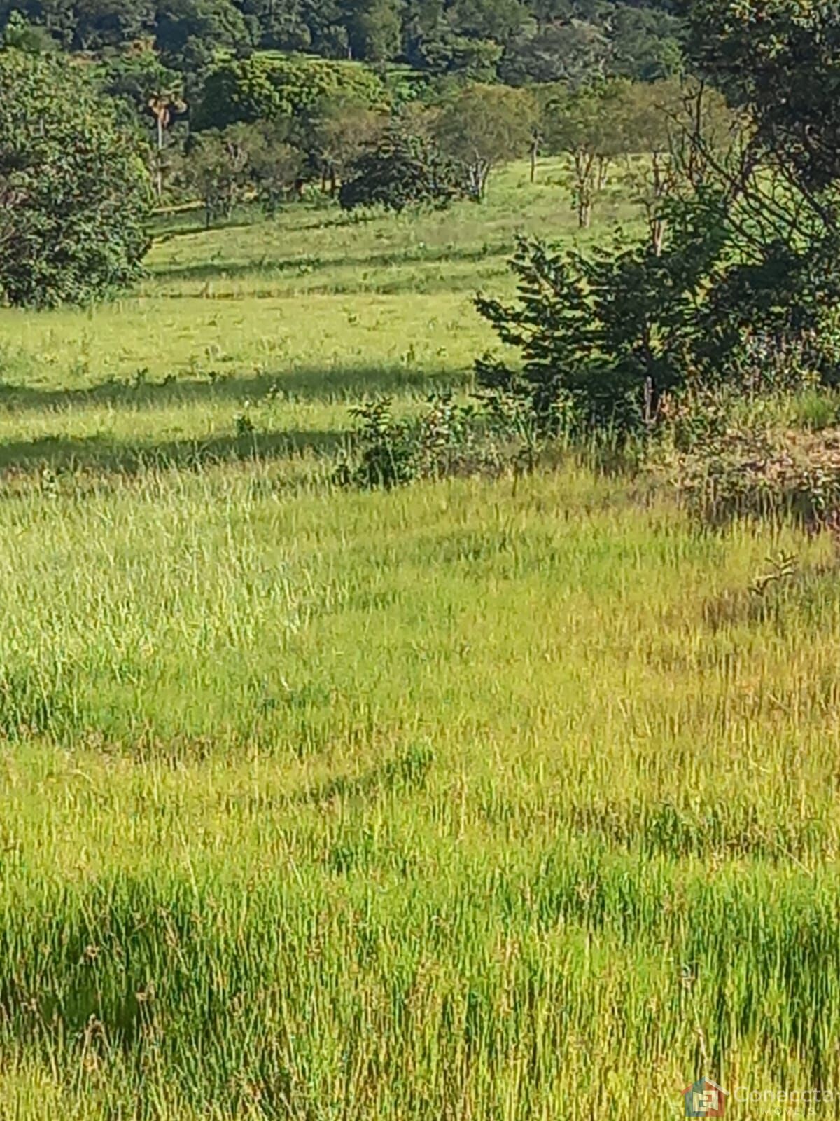 Fazenda à venda, 2040000m² - Foto 8