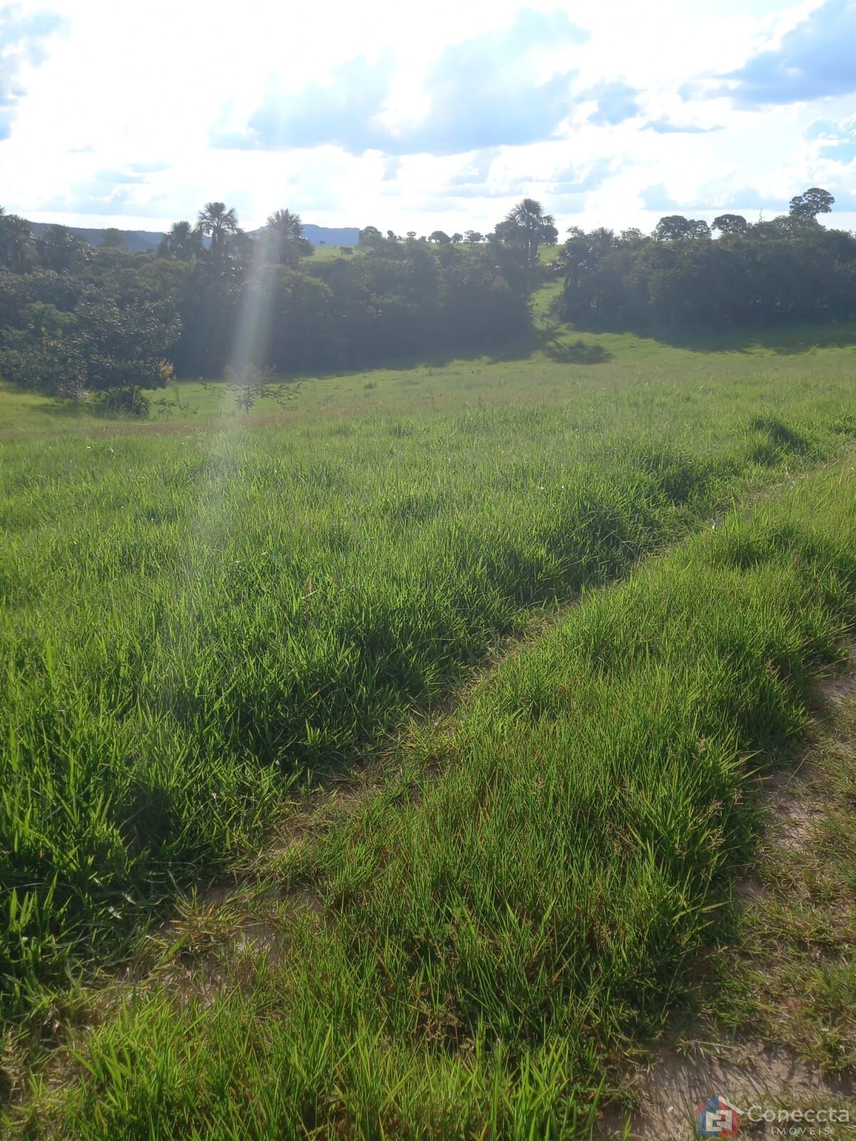 Fazenda à venda, 2040000m² - Foto 11