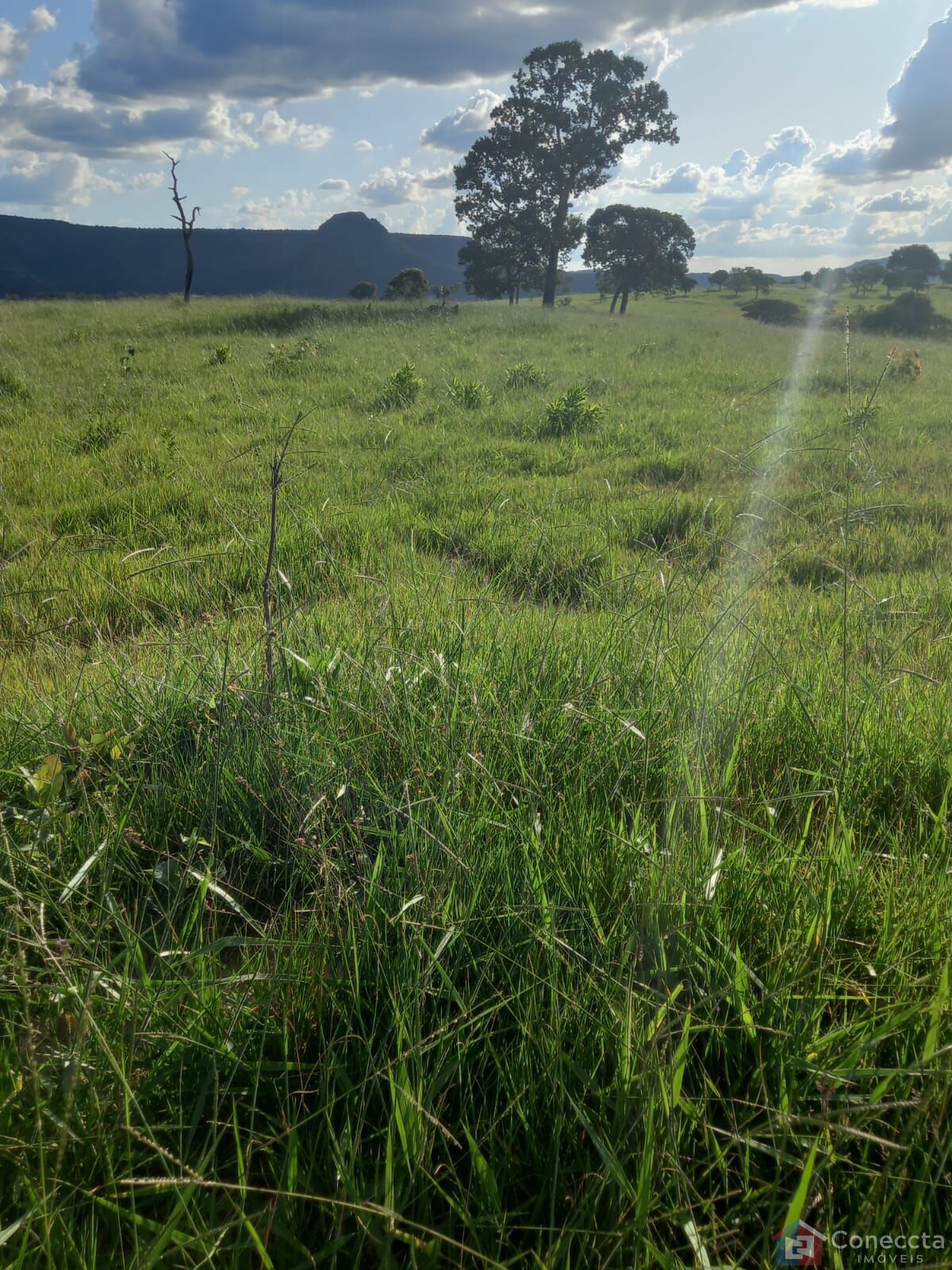 Fazenda à venda, 2040000m² - Foto 9