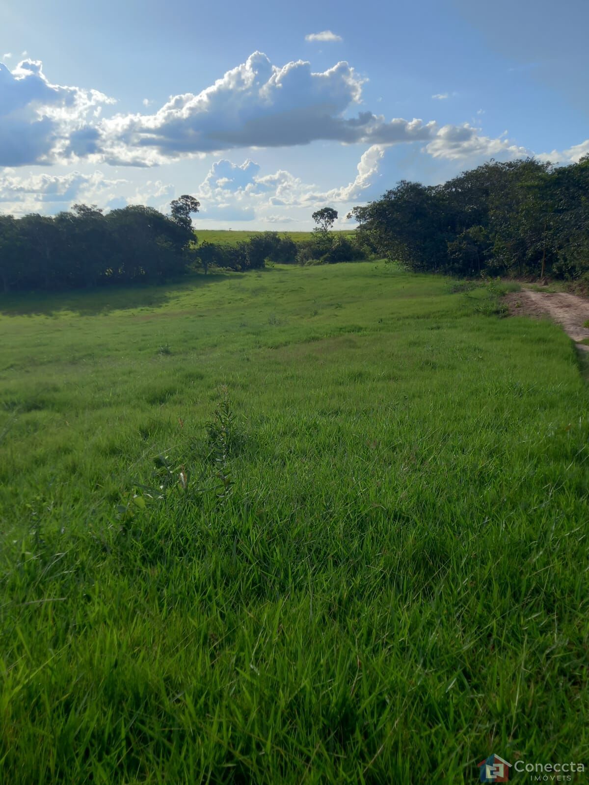 Fazenda à venda, 2040000m² - Foto 14