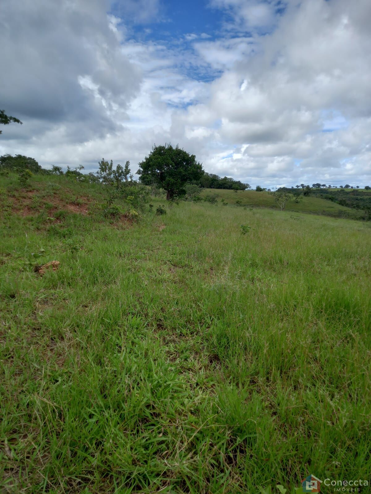 Fazenda à venda, 2040000m² - Foto 6