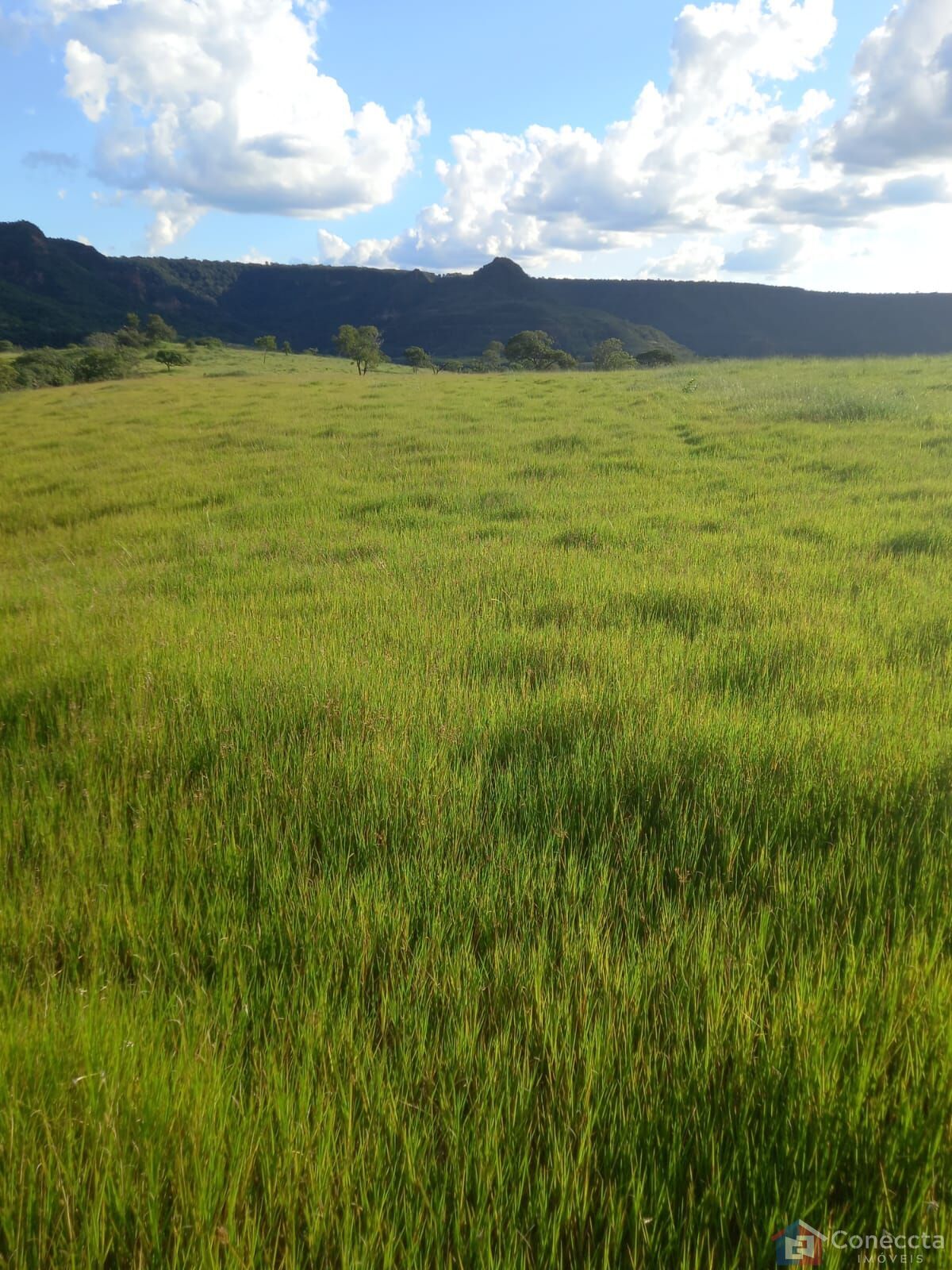 Fazenda à venda, 2040000m² - Foto 17